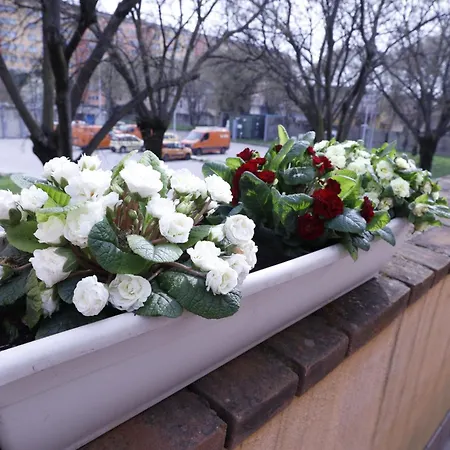 Amira Fiera Apartman